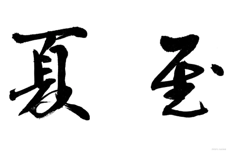 冬吃馄饨夏吃面，夏至可以试试有面的小火锅